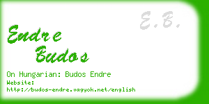 endre budos business card